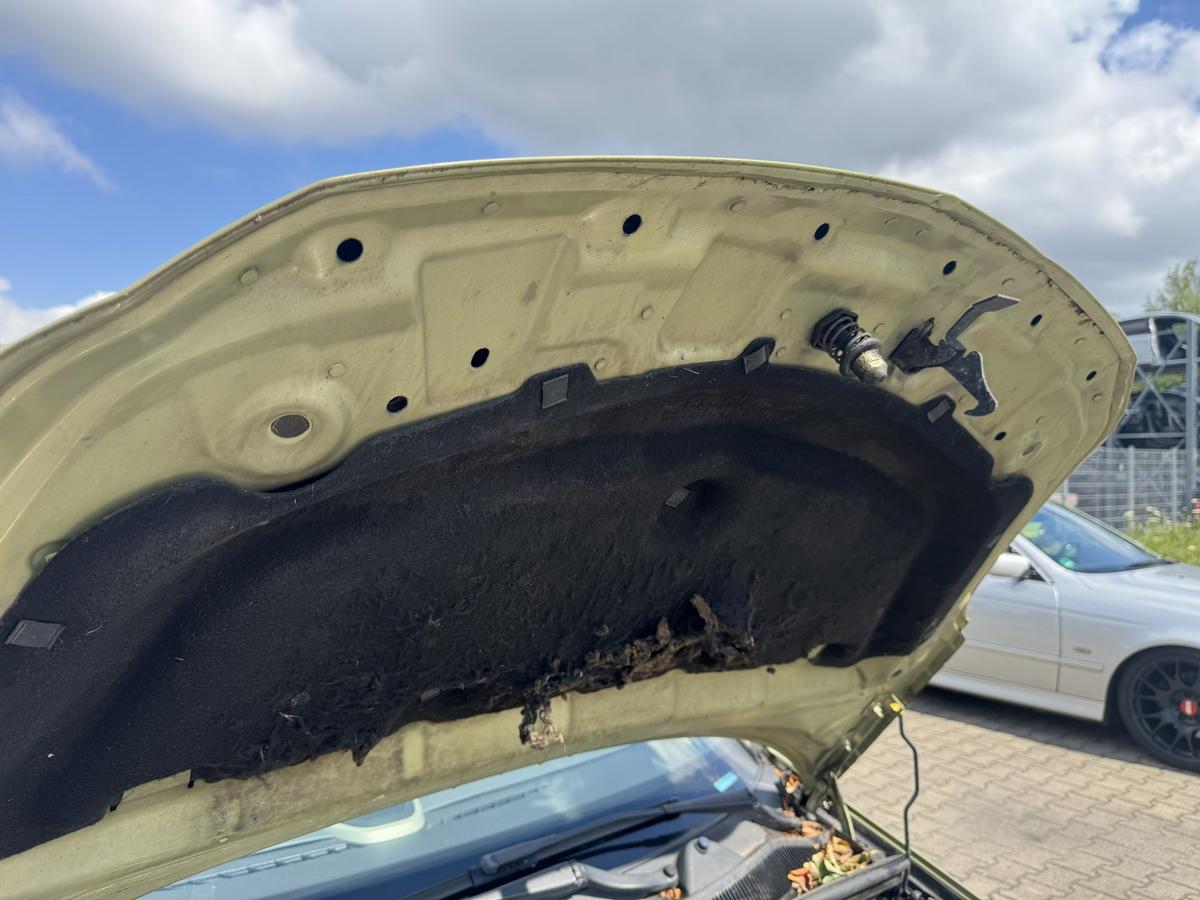 Opel Corsa D original Motorhaube Z30E Green Tea Metallic Bj.2006